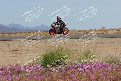 media/Mar-12-2023-SoCal Trackdays (Sun) [[d4c8249724]]/Turn 15 Inside Bloom (130pm)/